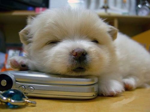 awwwwwwwwww!